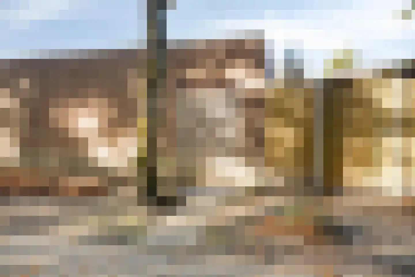 Schietbergen 9 Nuenen thumbnail 26
