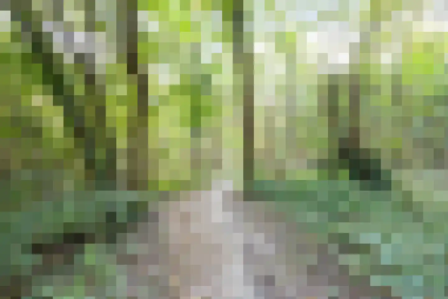 Schietbergen 9 Nuenen thumbnail 29