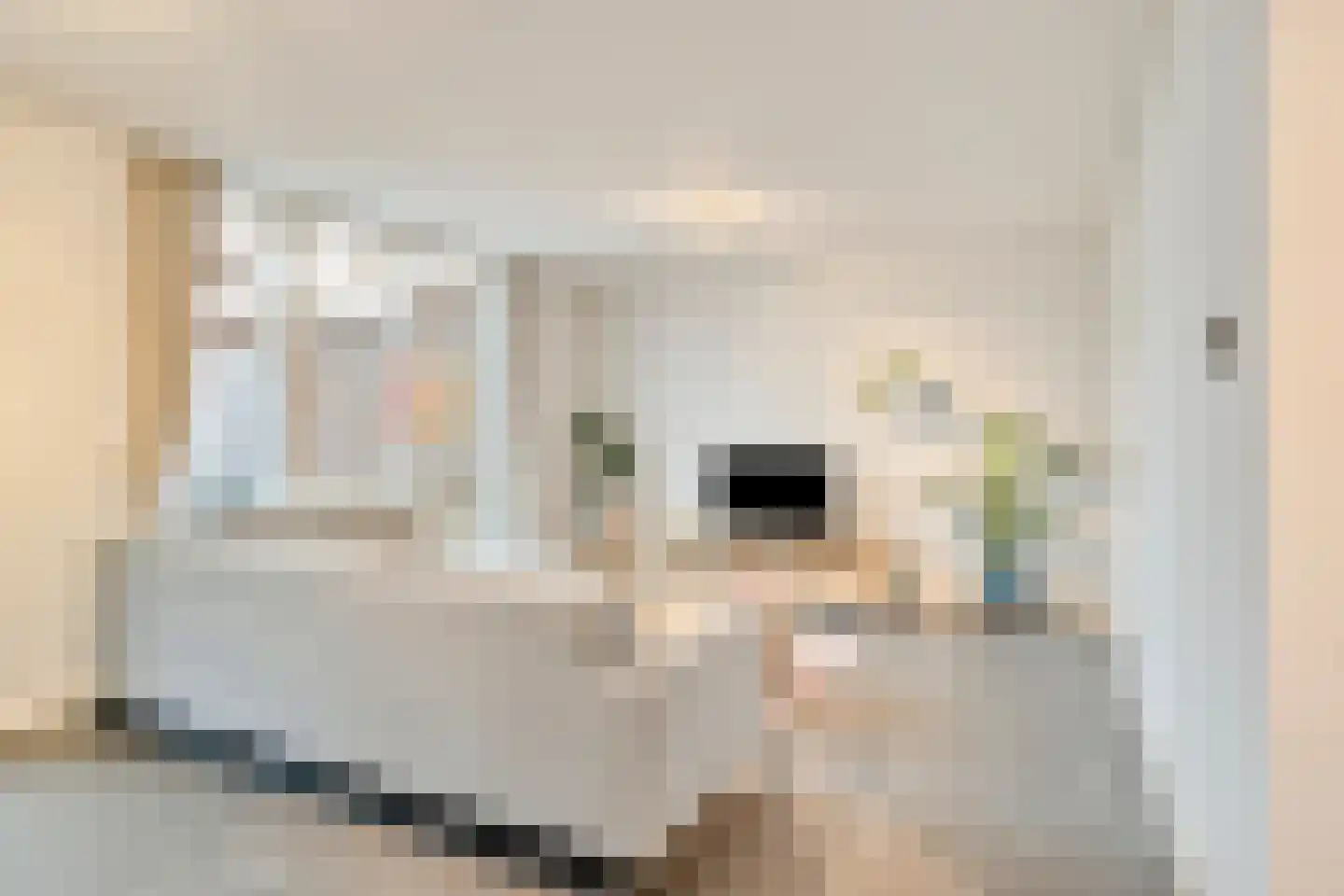 Schietbergen 9 Nuenen thumbnail 8