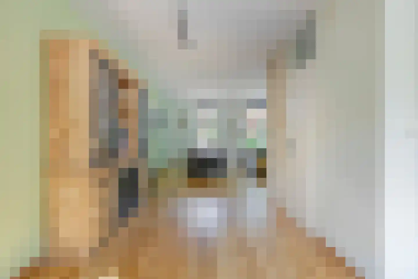 Schietbergen 94 Nuenen thumbnail 12