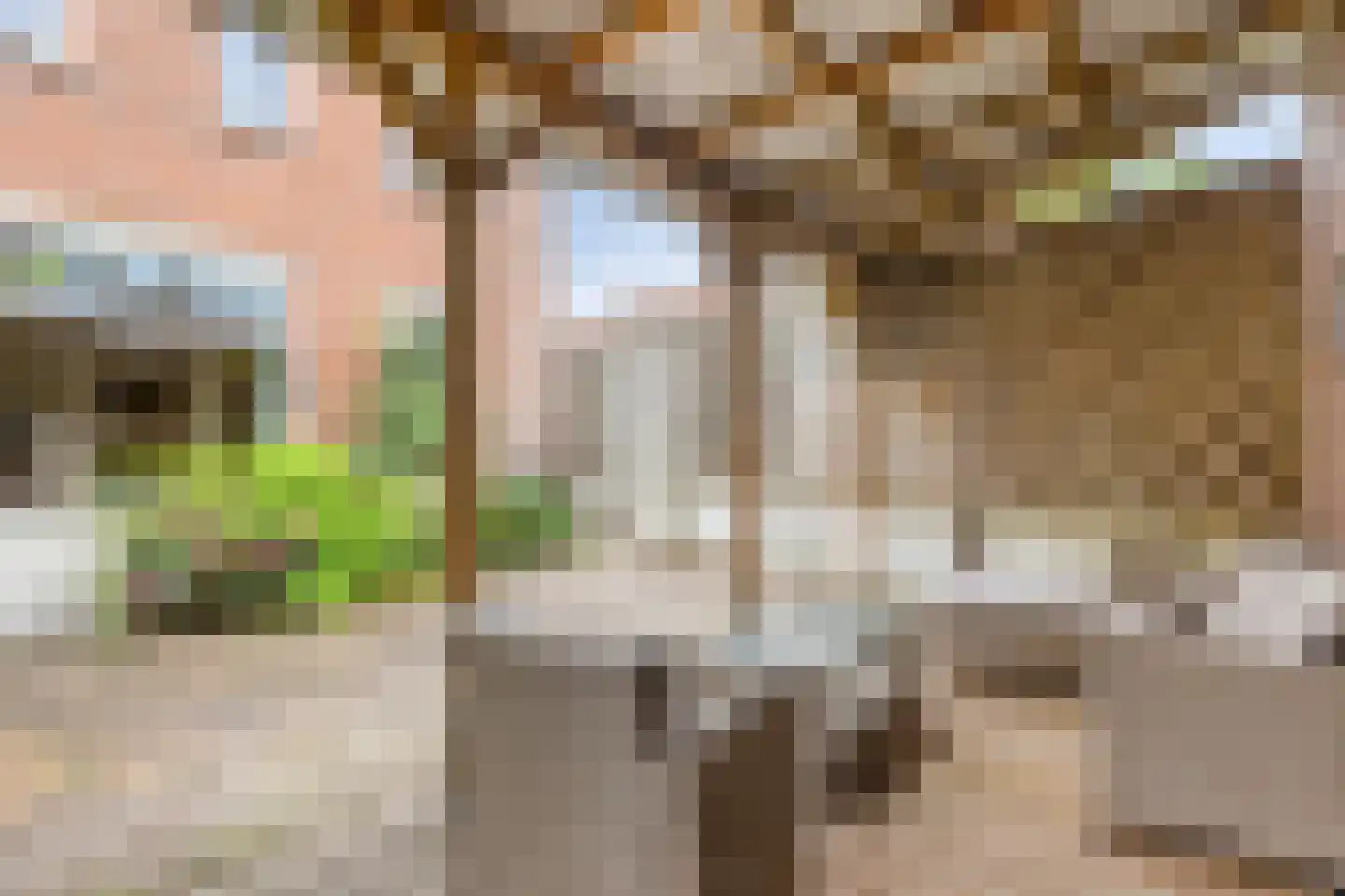Schietbergen 94 Nuenen thumbnail 32