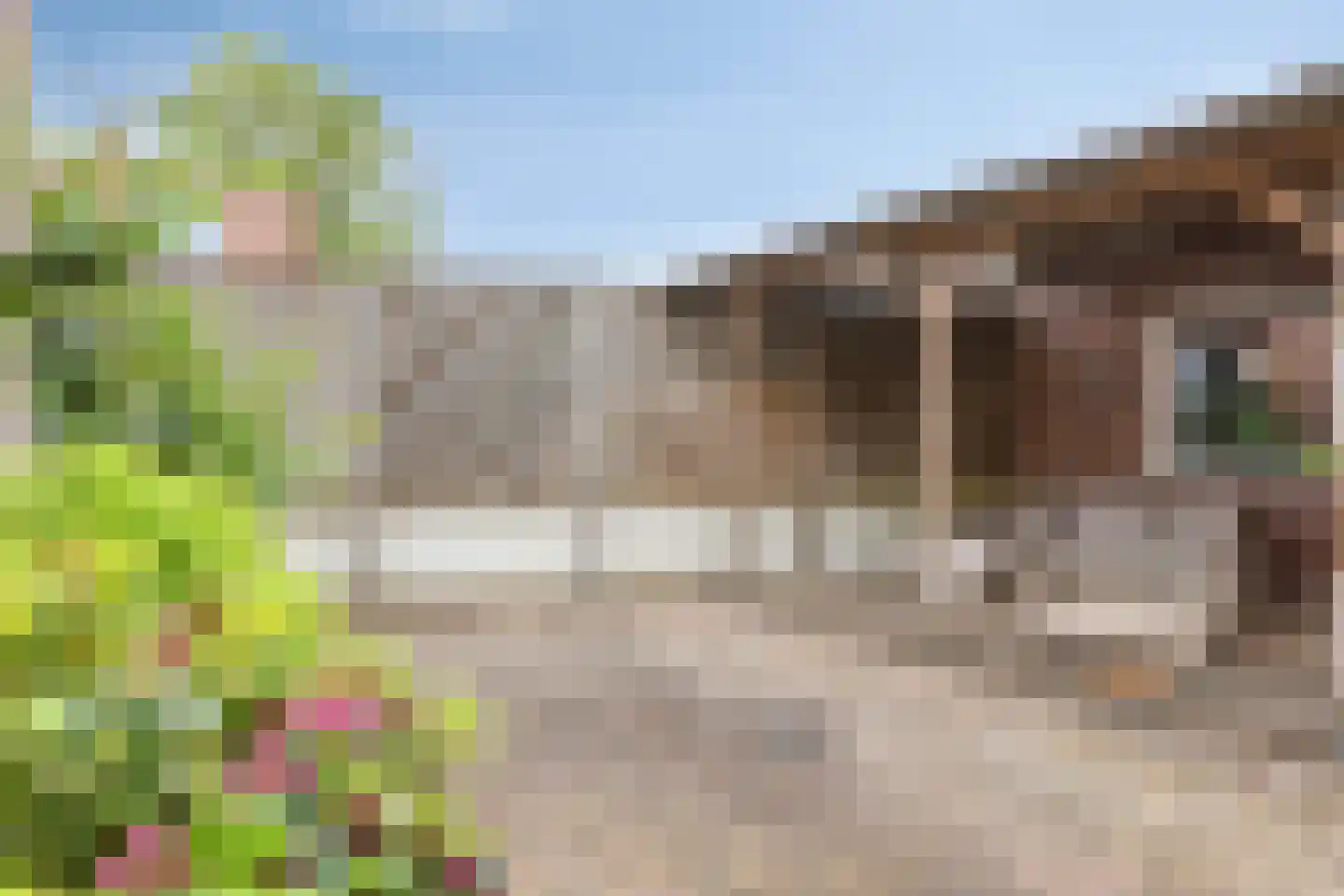 Schietbergen 94 Nuenen thumbnail 33