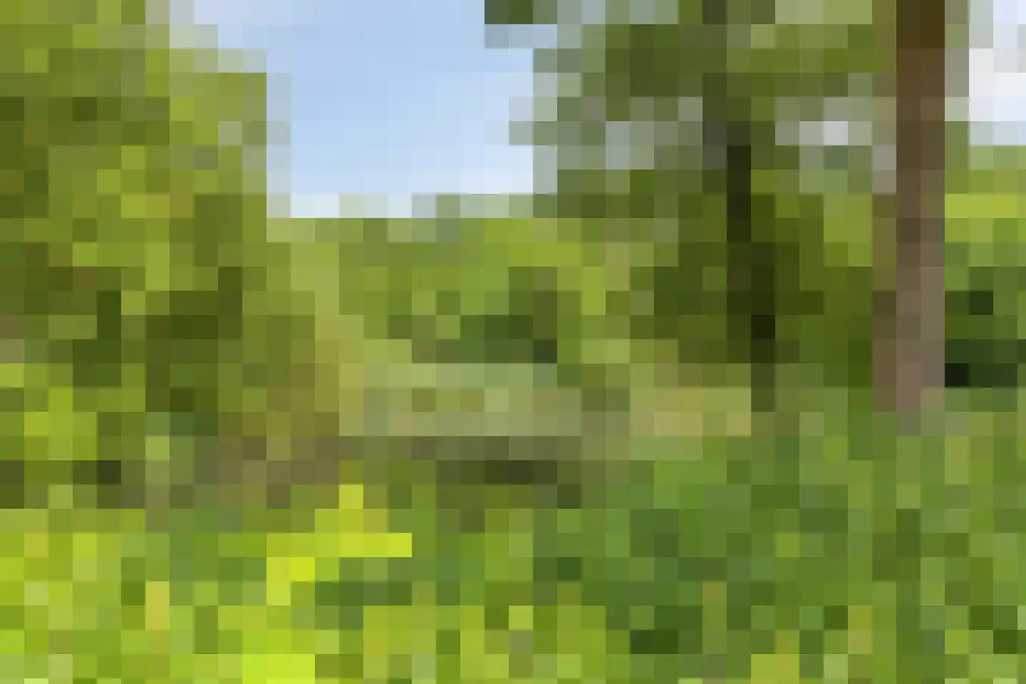 Schietbergen 94 Nuenen thumbnail 37