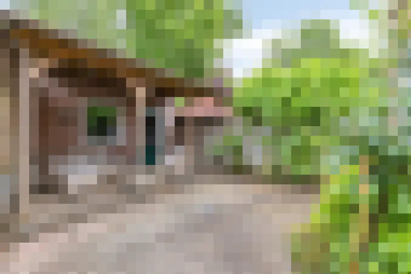 Schietbergen 94 Nuenen thumbnail 4