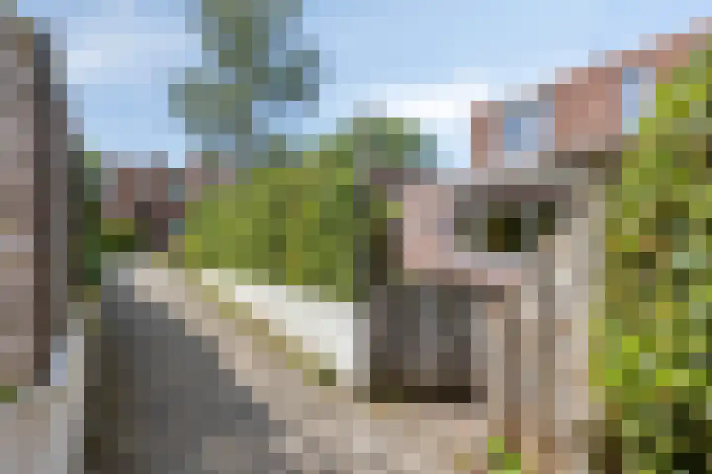 Schietbergen 94 Nuenen thumbnail 41