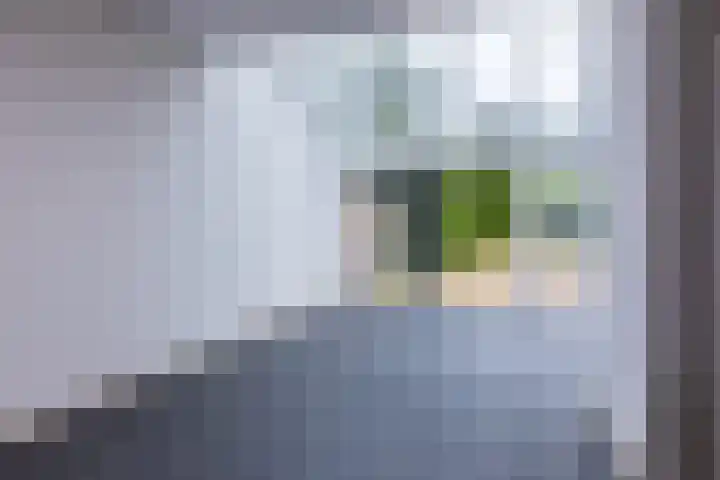 Schiethoek 19 Bergen op Zoom thumbnail 22