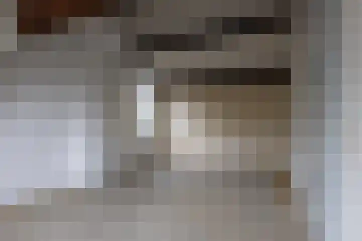 Schiethoek 19 Bergen op Zoom thumbnail 32