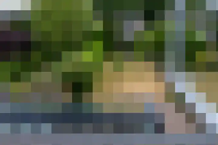 Schiethoek 19 Bergen op Zoom thumbnail 33
