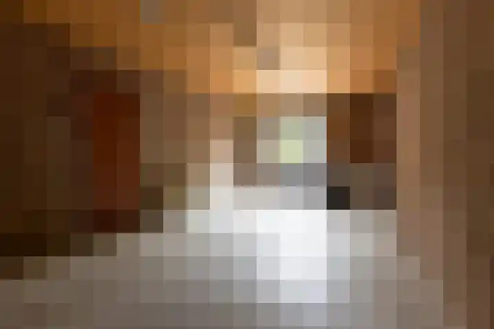 Schiethoek 19 Bergen op Zoom thumbnail 37