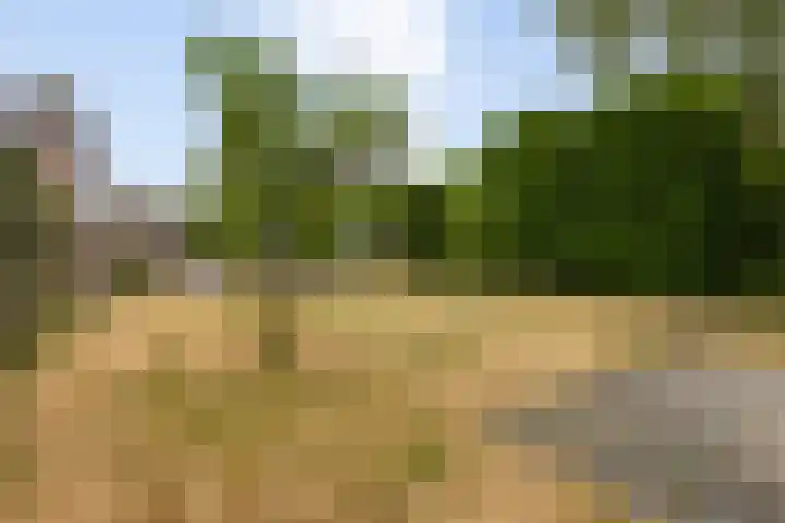 Schiethoek 19 Bergen op Zoom thumbnail 38