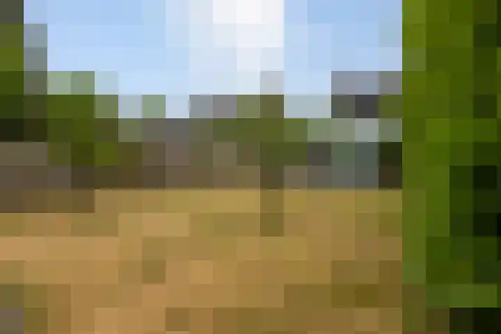 Schiethoek 19 Bergen op Zoom thumbnail 39