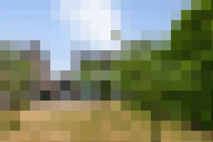 Schiethoek 19 Bergen op Zoom thumbnail 40