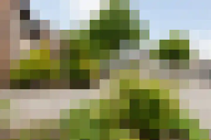 Schiethoek 19 Bergen op Zoom thumbnail 5