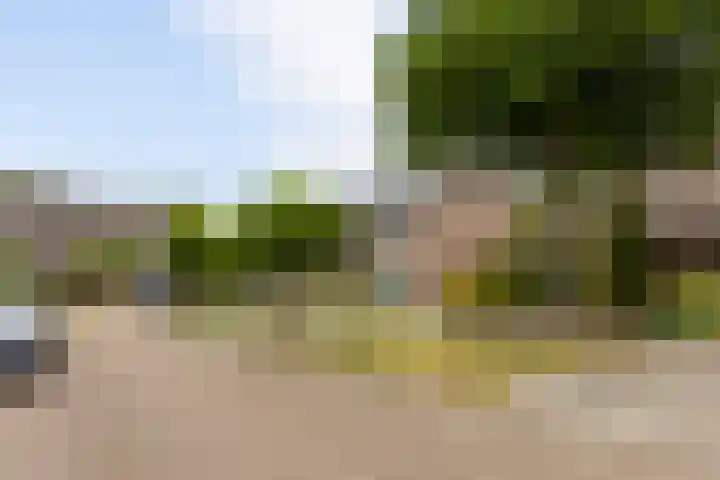 Schiethoek 19 Bergen op Zoom thumbnail 7