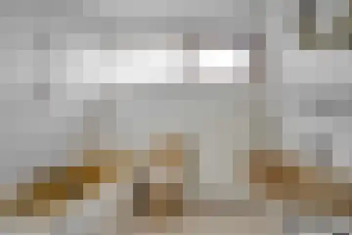 Schiethoek 21 Bergen op Zoom thumbnail 18