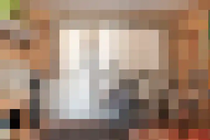 Schiethoek 21 Bergen op Zoom thumbnail 33