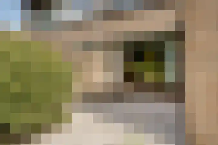 Schiethoek 21 Bergen op Zoom thumbnail 34
