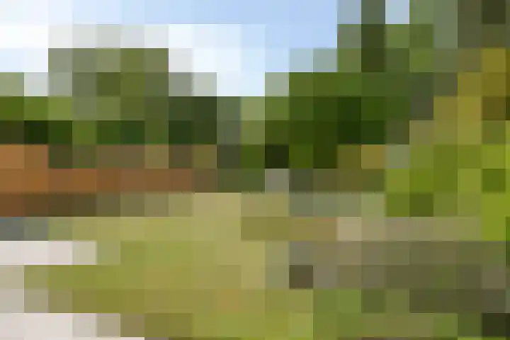Schiethoek 21 Bergen op Zoom thumbnail 35