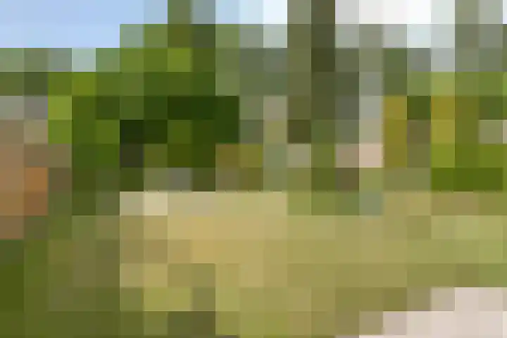 Schiethoek 21 Bergen op Zoom thumbnail 36
