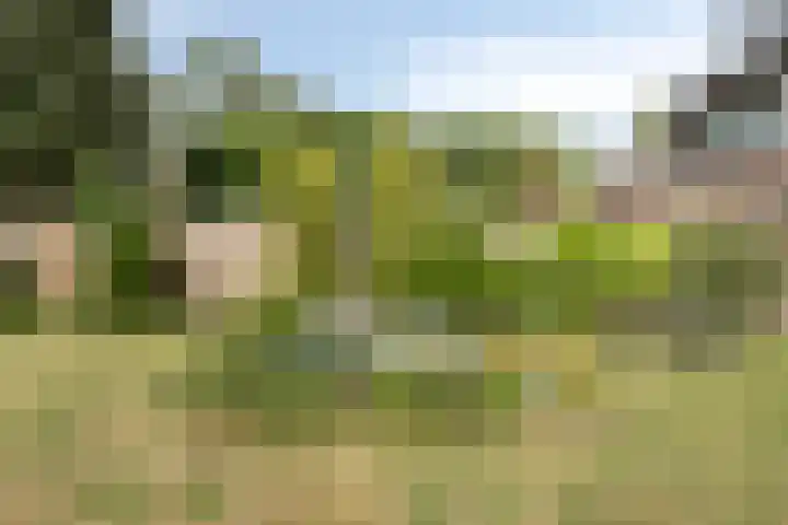 Schiethoek 21 Bergen op Zoom thumbnail 37