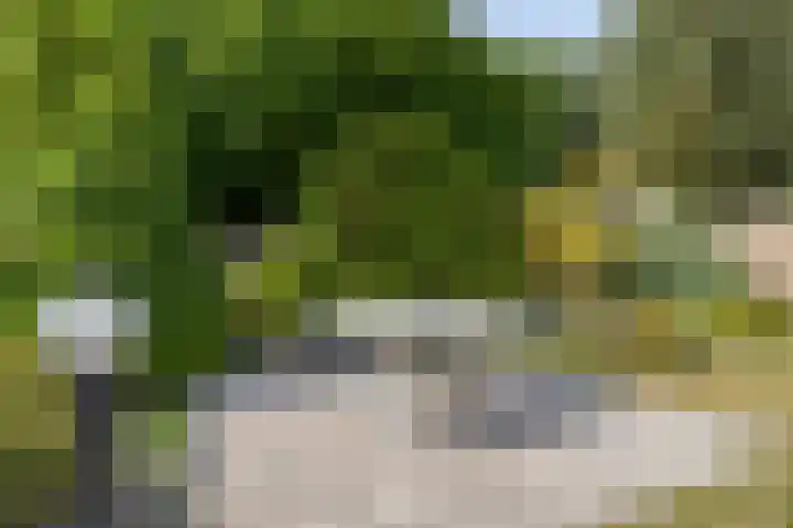 Schiethoek 21 Bergen op Zoom thumbnail 38