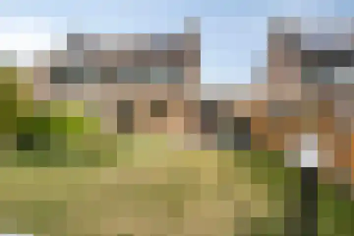 Schiethoek 21 Bergen op Zoom thumbnail 39