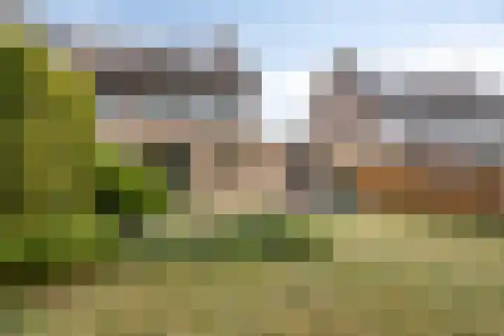 Schiethoek 21 Bergen op Zoom thumbnail 40