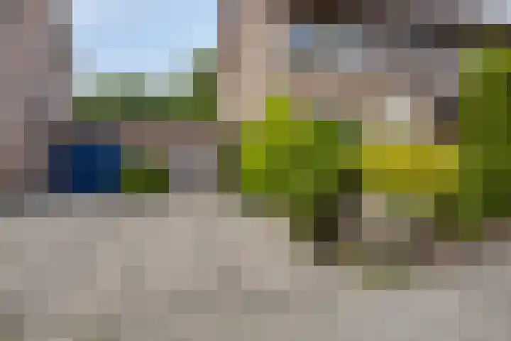 Schiethoek 21 Bergen op Zoom thumbnail 41