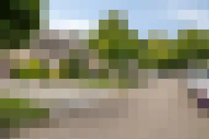 Schiethoek 21 Bergen op Zoom thumbnail 43