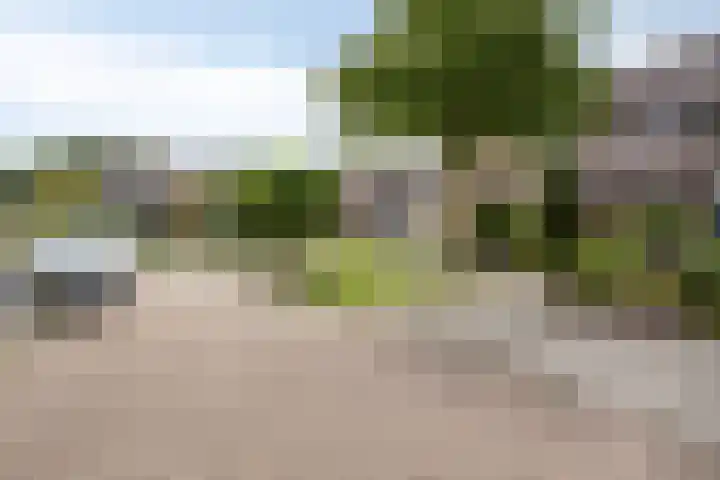 Schiethoek 21 Bergen op Zoom thumbnail 44
