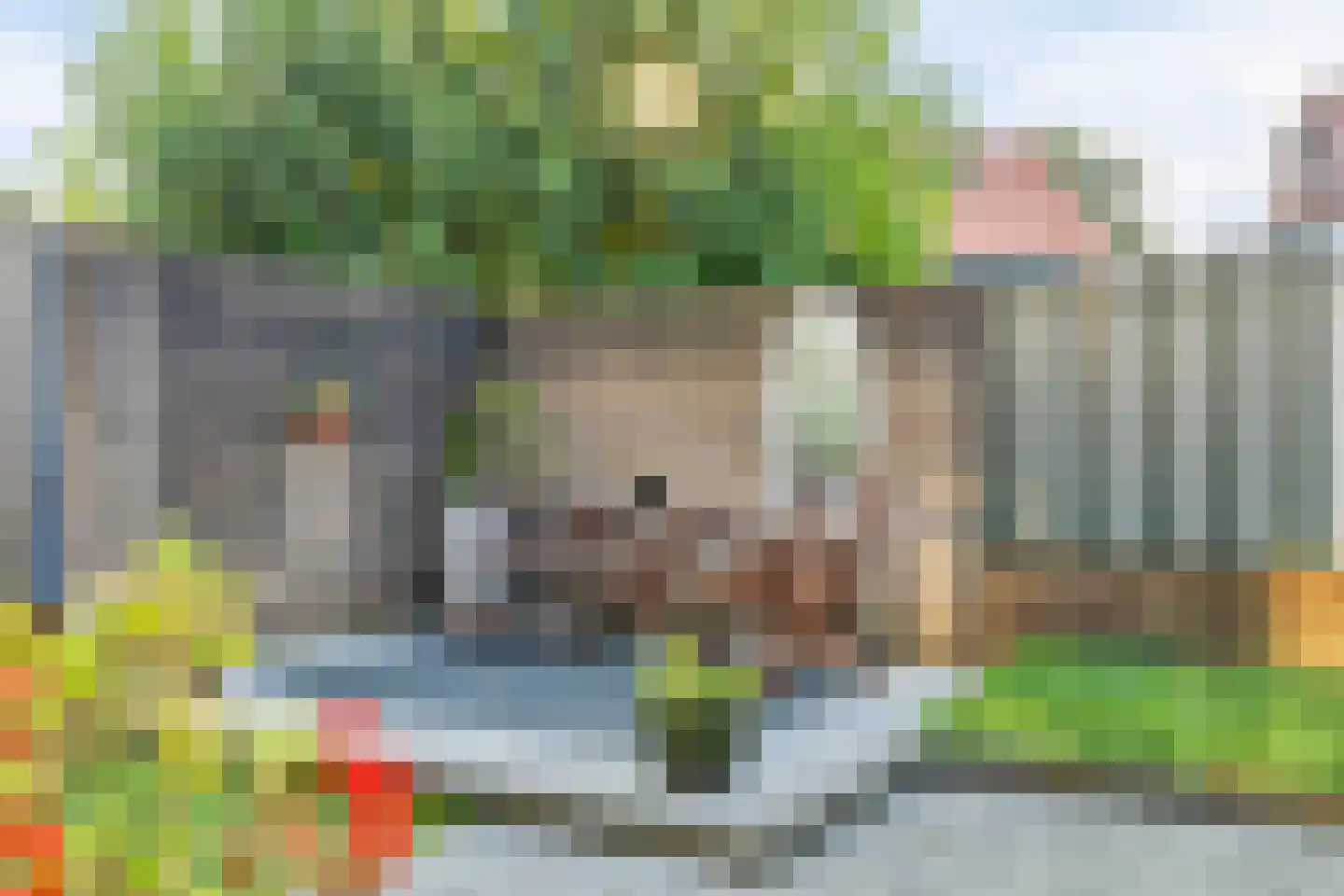 Schiethoek 4 Bergen op Zoom thumbnail 23