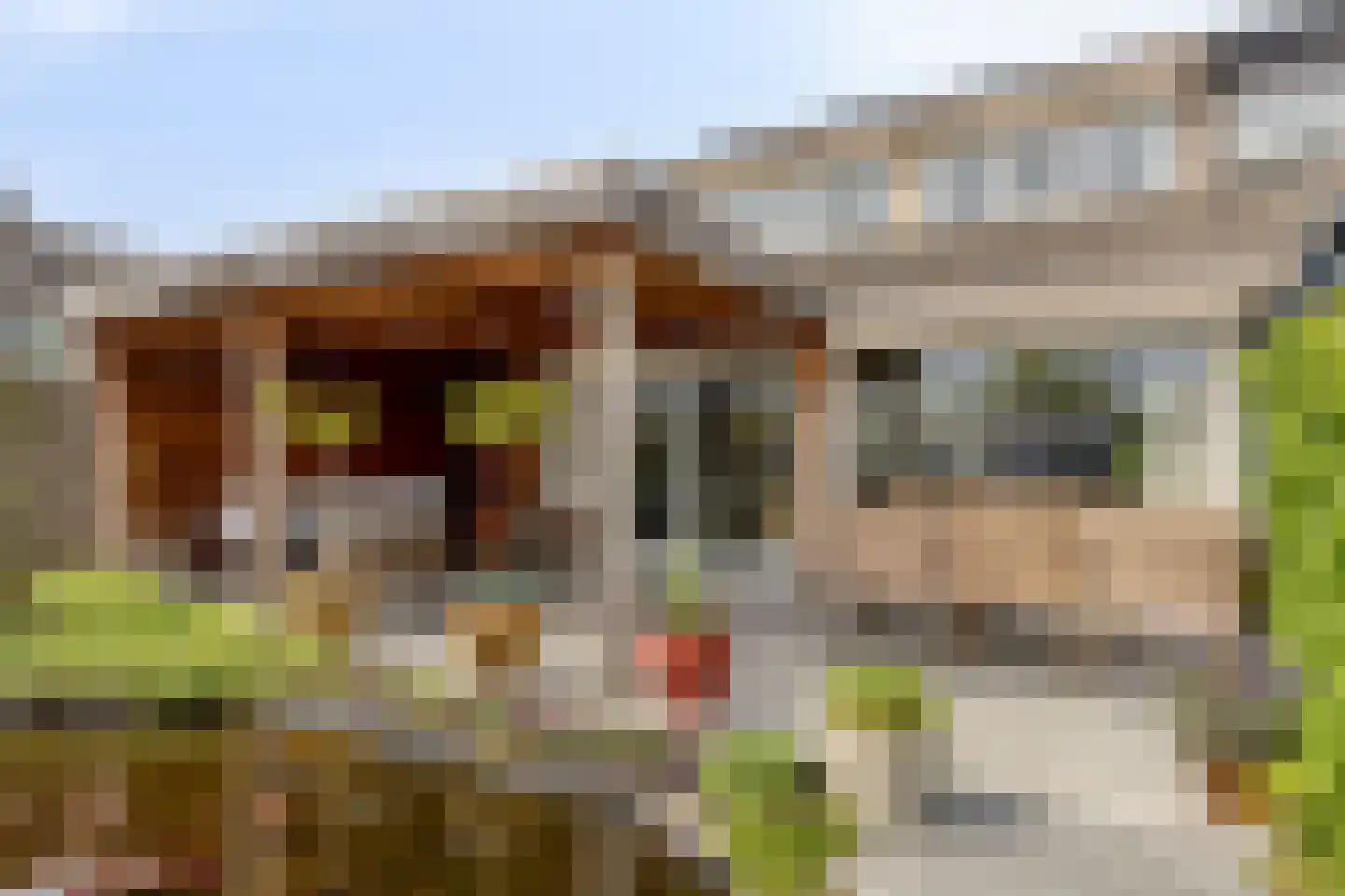 Schiethoek 48 Bergen op Zoom thumbnail 35