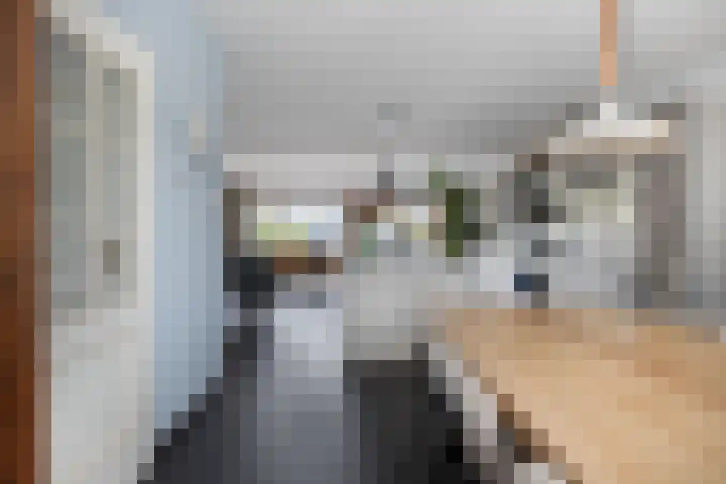 Schiethoek 48 Bergen op Zoom thumbnail 4