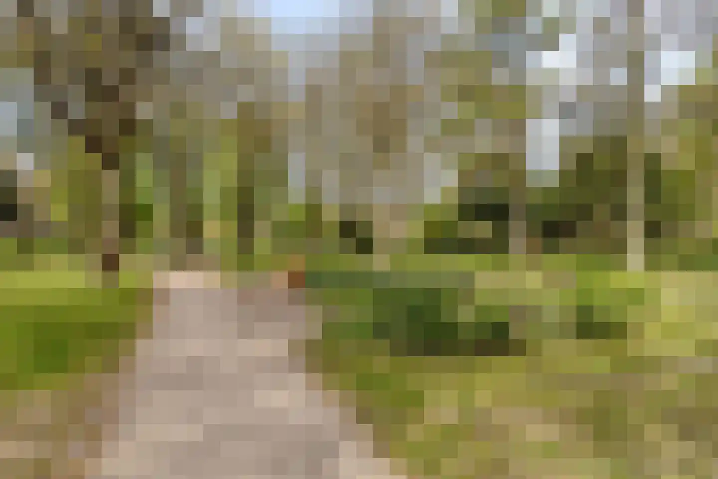 Schiethoek 48 Bergen op Zoom thumbnail 49