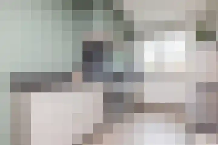 Schiethouwer 19 Brunssum thumbnail 12