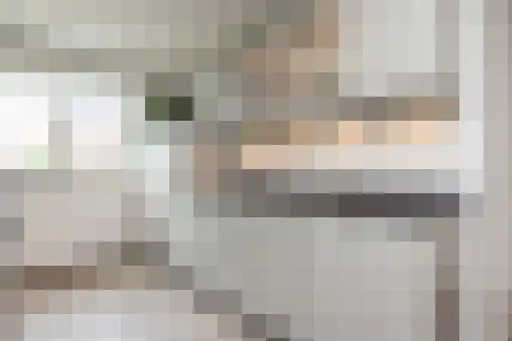 Schiethouwer 19 Brunssum thumbnail 13