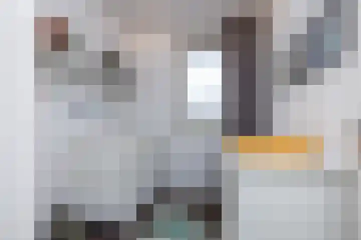 Schiethouwer 19 Brunssum thumbnail 25