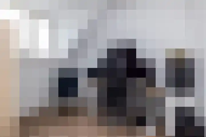 Schiethouwer 19 Brunssum thumbnail 31