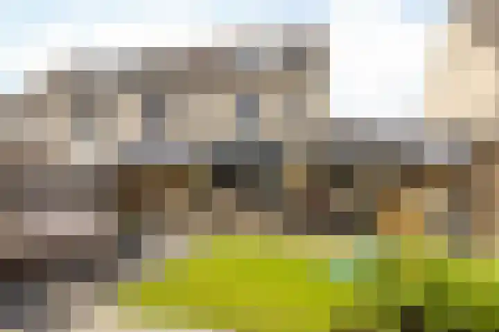 Schiethouwer 19 Brunssum thumbnail 34