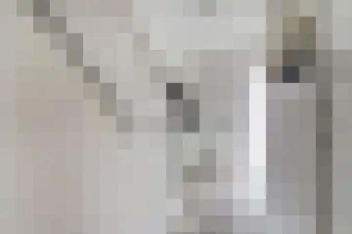 Schietspoel 16 Almelo thumbnail 10
