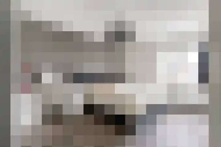 Schietspoel 16 Almelo thumbnail 12