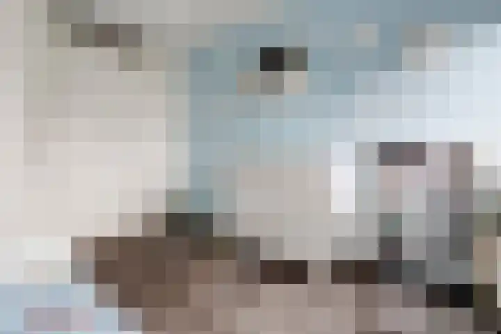 Schietspoel 16 Almelo thumbnail 14