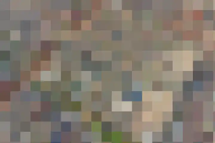 Schietspoel 16 Almelo thumbnail 28