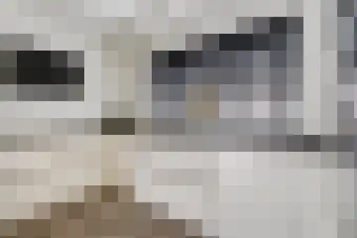 Schietspoel 16 Almelo thumbnail 8