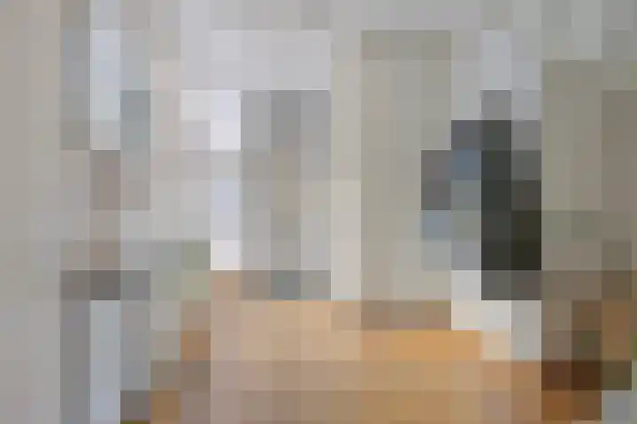 Schietspoel 16 Oss thumbnail 11