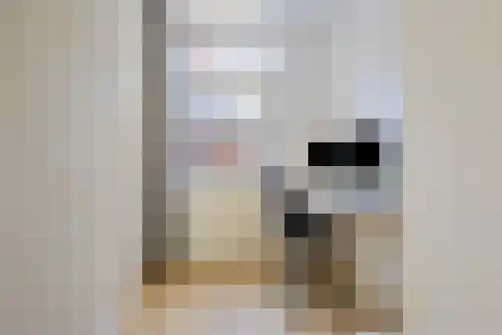 Schietspoel 16 Oss thumbnail 15