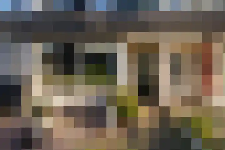 Schietspoel 16 Oss thumbnail 17