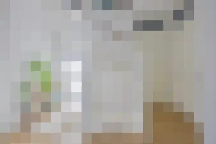 Schietspoel 16 Oss thumbnail 19