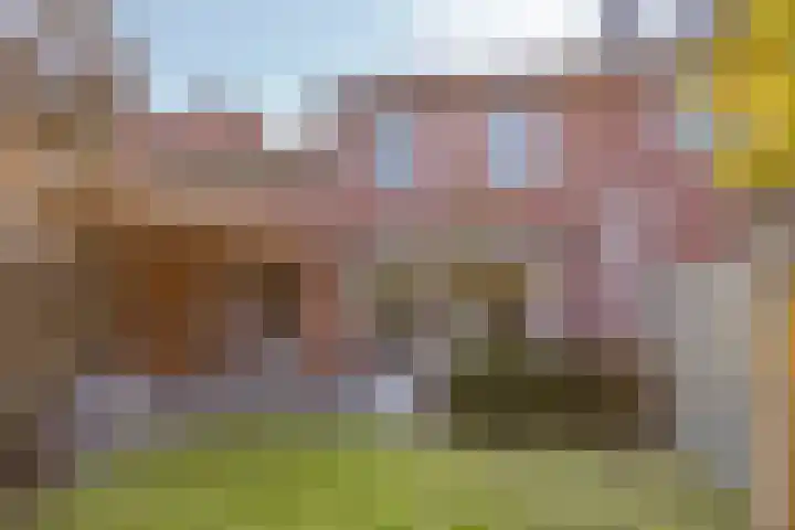 Schietspoel 16 Oss thumbnail 24