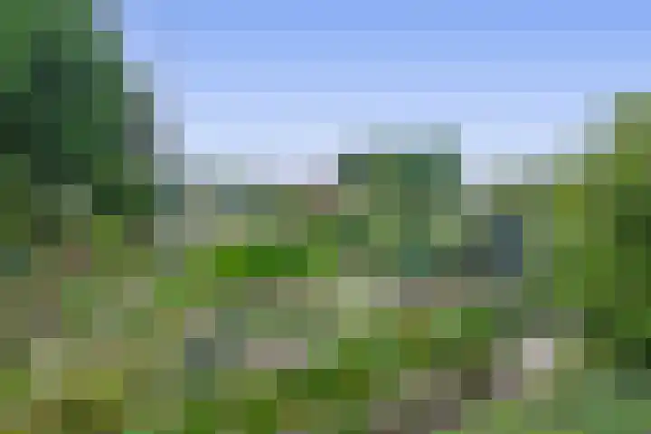 Schietspoel 16 Oss thumbnail 25